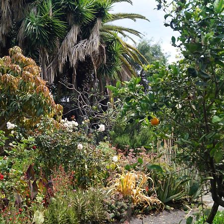 La Casita Del Jardinero Villa Los Llanos De Aridane Eksteriør billede