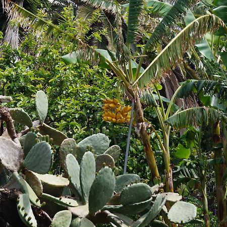 La Casita Del Jardinero Villa Los Llanos De Aridane Eksteriør billede