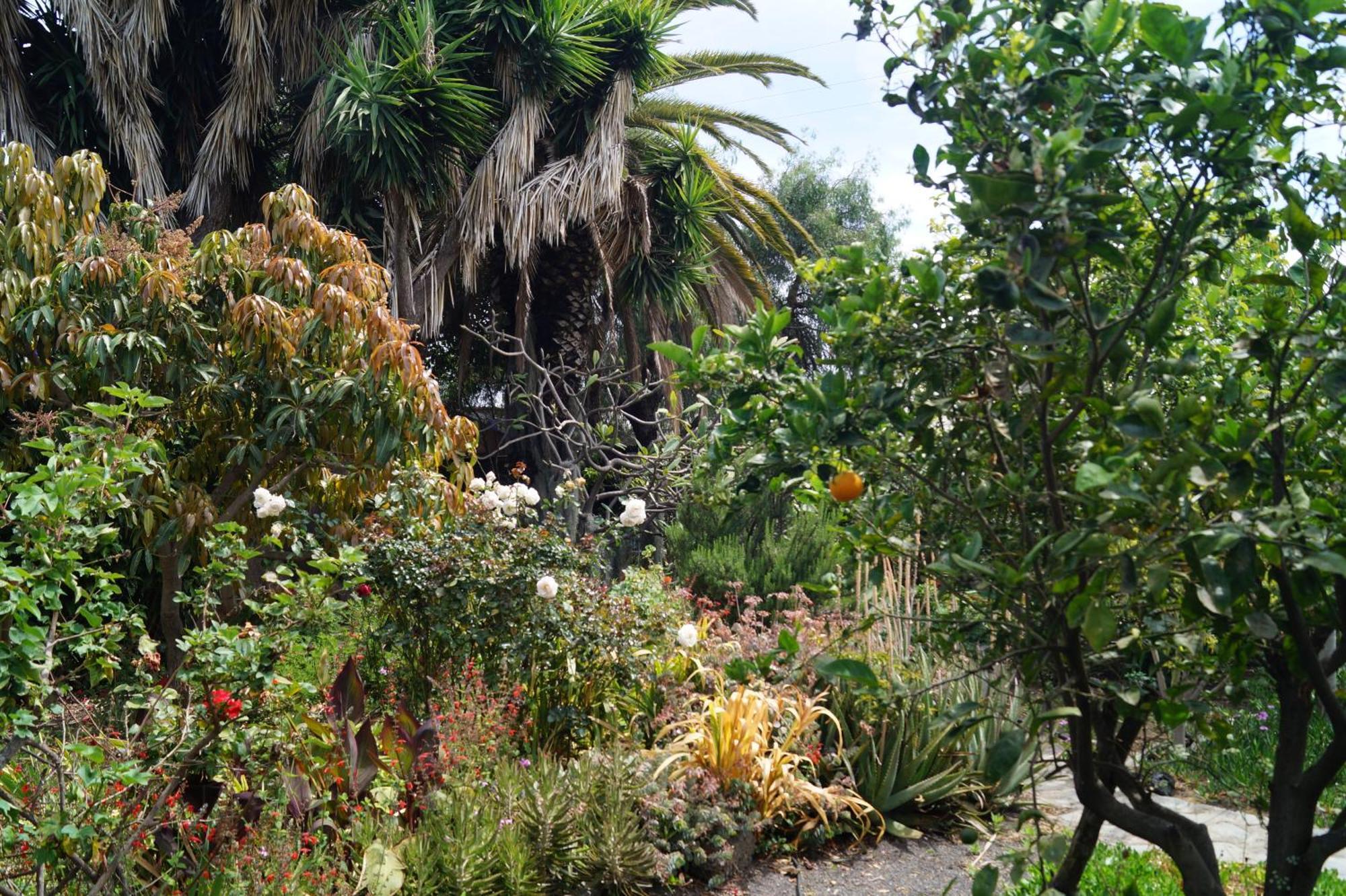 La Casita Del Jardinero Villa Los Llanos De Aridane Eksteriør billede